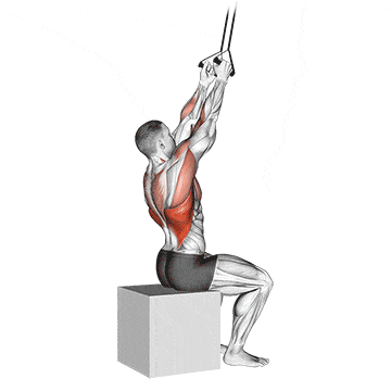 Band fixed back close grip pulldown gif