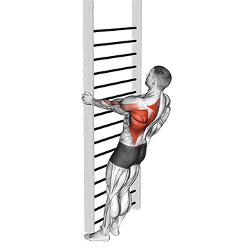 Bodyweight standing close-grip one arm row gif