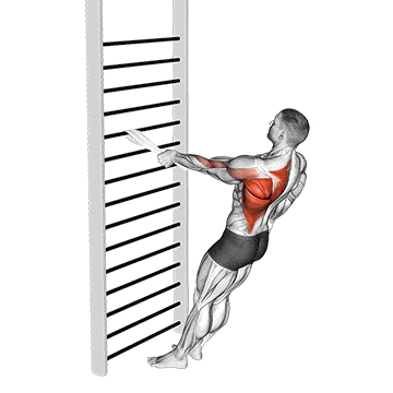 Bodyweight standing one arm row (with towel) gif