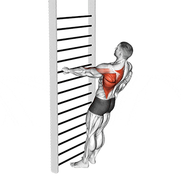 Bodyweight standing one arm row gif