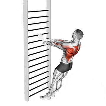 Bodyweight standing row (with towel) gif