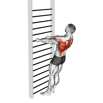 Bodyweight standing row gif