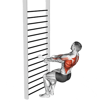 Bodyweight squatting row (with towel) gif