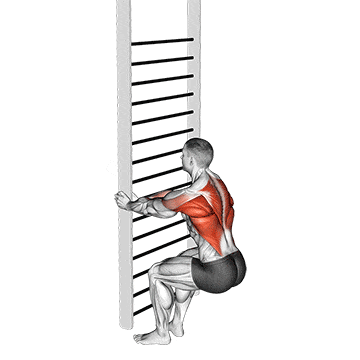 Bodyweight squatting row gif