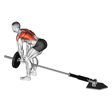 Lever bent-over row with v-bar  gif