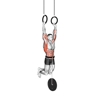 Weighted muscle up gif