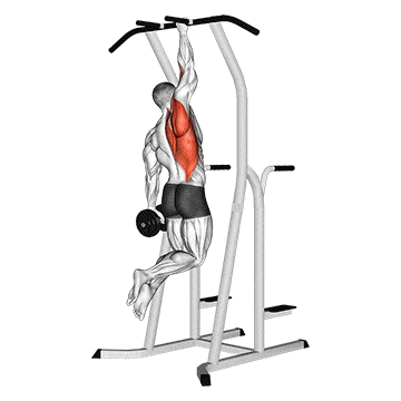 Weighted one hand pull up gif