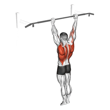 Archer pull up gif