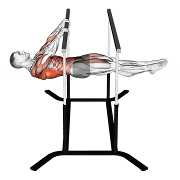 Front lever reps gif