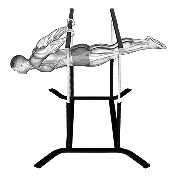 Back lever gif