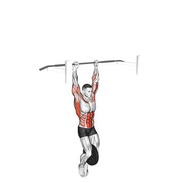 Weighted muscle up (on bar) gif
