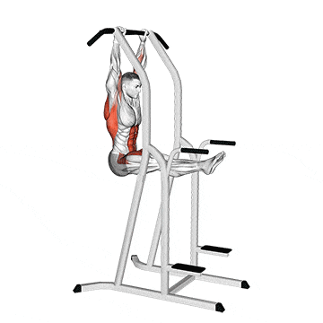 L-pull-up gif