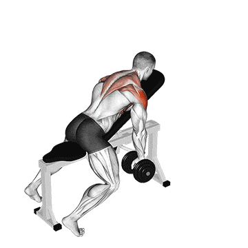 Dumbbell incline y-raise gif