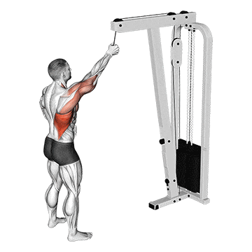 Cable one arm pulldown gif