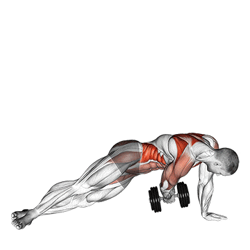 Dumbbell side plank with rear fly gif